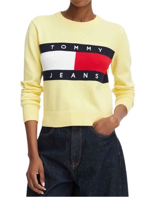 Maglione in cotone con logo Tommy Jeans | DW0DW22930ZF0